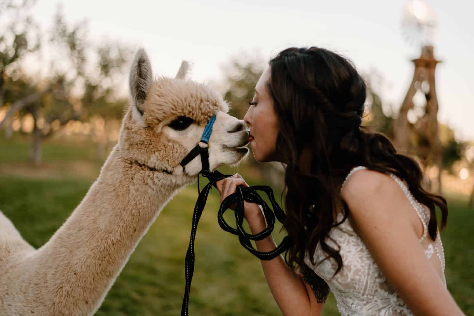 12 Special Photo Opportunities at The Meadow Barn