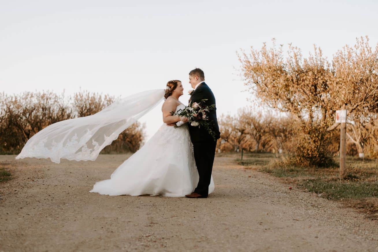 12 Special Photo Opportunities at The Meadow Barn